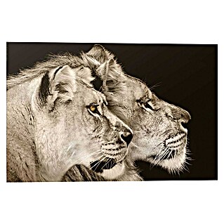 Decoratief paneel (Two Lions, b x h: 90 x 60 cm)