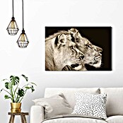 Decoratief paneel (Two Lions, b x h: 90 x 60 cm) | BAUHAUS
