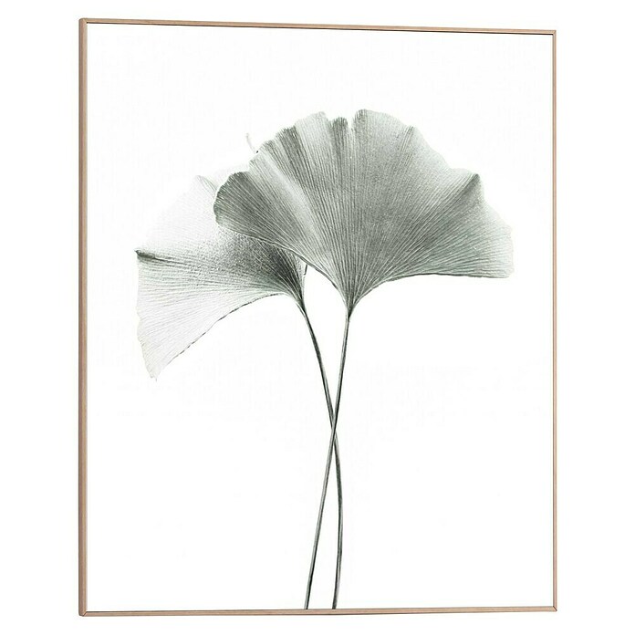 Reinders Bild Slim Frame Wood (Gingko, B x H: 40 x 50 cm) | BAUHAUS