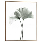 Reinders Bild Slim Frame Wood (Gingko, B x H: 40 x 50 cm) | BAUHAUS