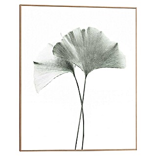 Reinders Bild Slim Frame Wood (Gingko, B x H: 40 x 50 cm)