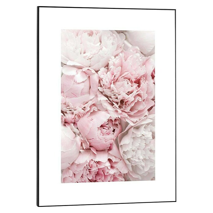 Reinders Bild Slim Frame Black (Peonies in Pink, B x H: 50 x 70 cm) | BAUHAUS