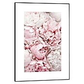 Reinders Bild Slim Frame Black (Peonies in Pink, B x H: 50 x 70 cm) | BAUHAUS