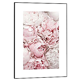 Reinders Bild Slim Frame Black (Peonies in Pink, B x H: 50 x 70 cm)