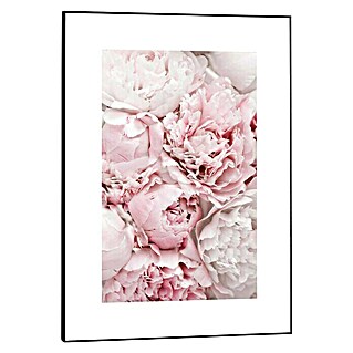 Canvasschilderij Slim Frame (Peonies in Pink, b x h: 50 x 70 cm)
