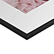 Reinders Bild Slim Frame Black (Peonies in Pink, B x H: 50 x 70 cm) | BAUHAUS