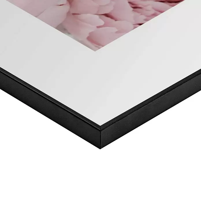 Reinders Bild Slim Frame Black - Peonies in Pink, B x H: 50 x 70 cm - Detailaufnahme