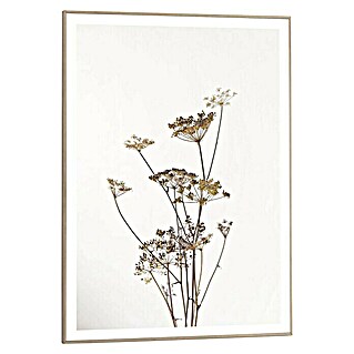 Bild Slim Frame (Fashion Flower, B x H: 50 x 70 cm)