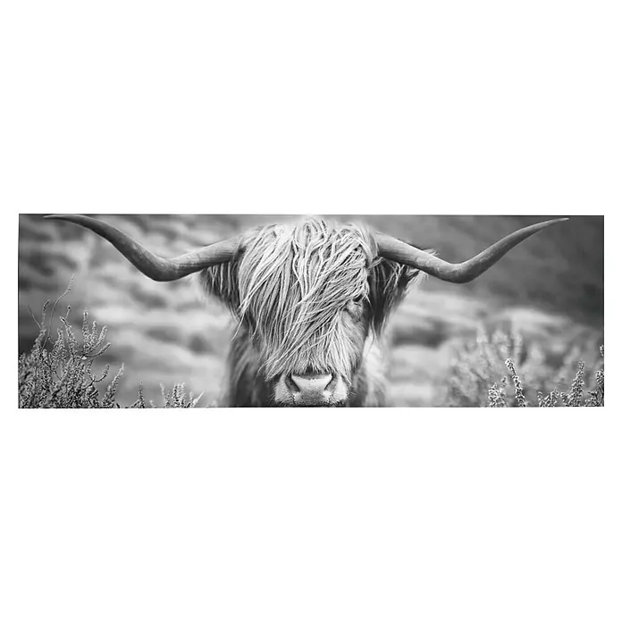 Reinders Decopanel - Highlander Landscape, B x H: 156 x 52 cm - Nahaufnahme eines schottischen Hochlandrindes mit langen Hörnern und zotteligem Fell in einer monochromen Landschaft.