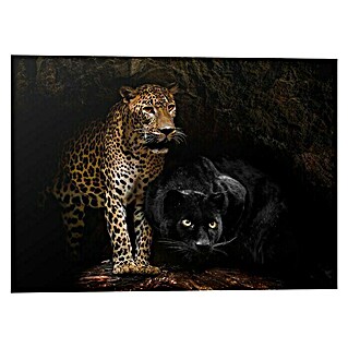 Canvasschilderij Alu Fine Art (Caved Cats, b x h: 140 x 100 cm)