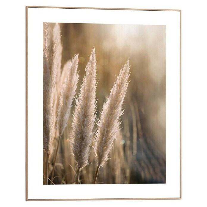 Reinders Bild Slim Frame Wood (Sunset Grasses, B x H: 40 x 50 cm) | BAUHAUS