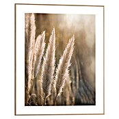 Reinders Bild Slim Frame Wood (Sunset Grasses, B x H: 40 x 50 cm) | BAUHAUS