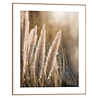 Reinders Bild Slim Frame Wood (Sunset Grasses, B x H: 40 x 50 cm)