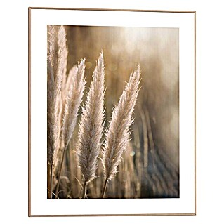 Canvasschilderij Slim Frame (Sunset Grasses, b x h: 40 x 50 cm)