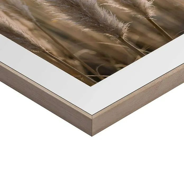 Reinders Bild Slim Frame Wood - Sunset Grasses, B x H: 40 x 50 cm - Nahaufnahme eines gerahmten Kunstwerks, das ein Feld mit flauschigen Gräsern in warmen Farbtönen zeigt, mit einem dezenten Holzrahmen und Passepartout.