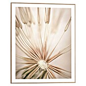 Reinders Bild Slim Frame Wood (Dandelion Heart, B x H: 40 x 50 cm) | BAUHAUS