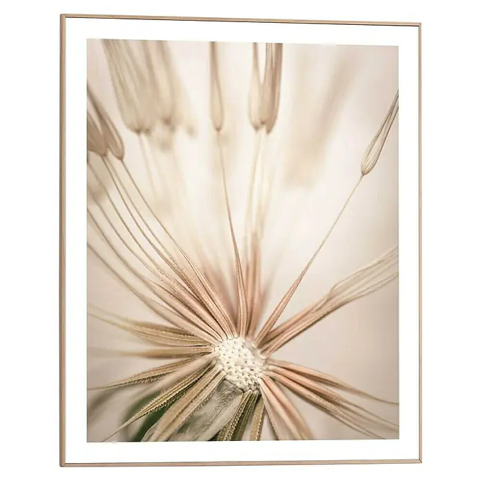 Reinders Bild Slim Frame Wood - Dandelion Heart, B x H: 40 x 50 cm - Nahaufnahme einer gerahmten Pusteblume in sanften Farbtönen, die eine ruhige und natürliche Atmosphäre vermittelt.
