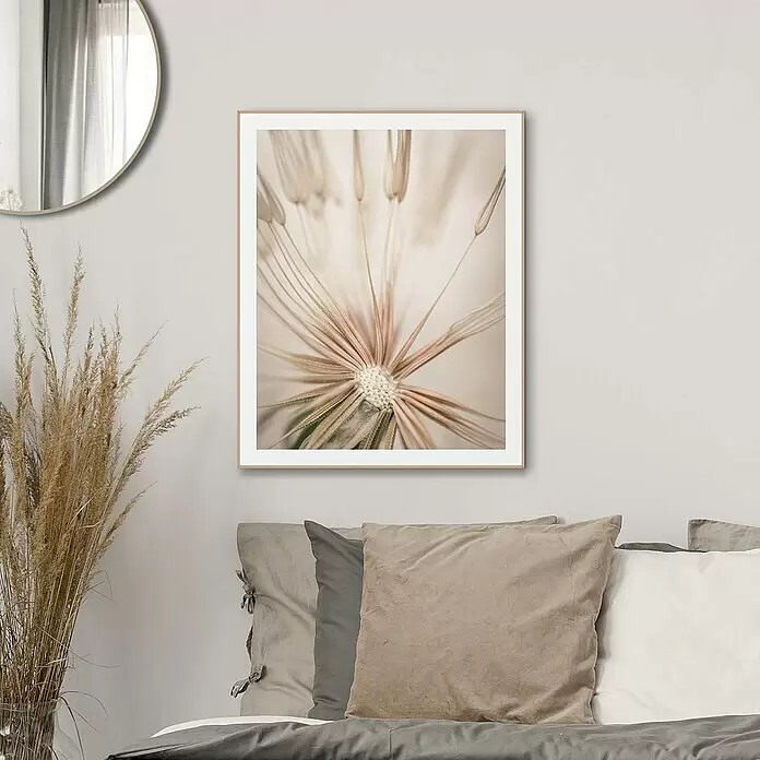 Reinders Bild Slim Frame Wood - Dandelion Heart, B x H: 40 x 50 cm - Gerahmter Druck einer Löwenzahn-Nahaufnahme über einem Bett, mit hellem Holzrahmen.
