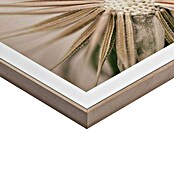 Reinders Bild Slim Frame Wood (Dandelion Heart, B x H: 40 x 50 cm) | BAUHAUS