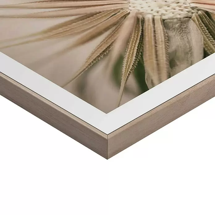 Reinders Bild Slim Frame Wood - Dandelion Heart, B x H: 40 x 50 cm - Heller Holzrahmen mit weißem Passepartout und Trockenblumenbild.