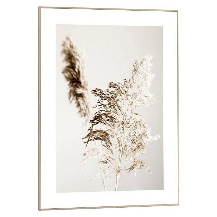 Reinders Bild Slim Frame Wood (Shadow Grass, B x H: 50 x 70 cm) | BAUHAUS