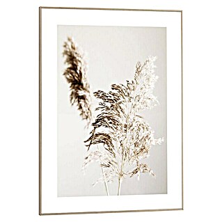 Canvasschilderij Slim Frame (Shadow Grass, b x h: 50 x 70 cm)
