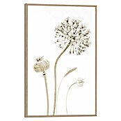 Reinders Bild Slim Frame Wood (Flower Stills, B x H: 20 x 30 cm) | BAUHAUS