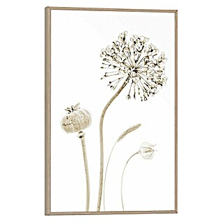 Bild Slim Frame (Flower Stills, B x H: 20 x 30 cm, Papier, Mit Rahmen)