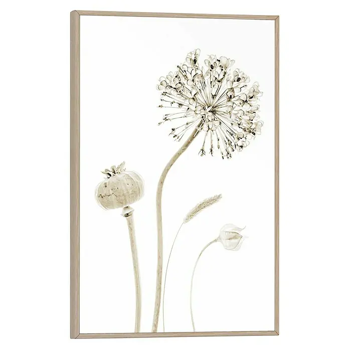 Reinders Bild Slim Frame Wood - Flower Stills, B x H: 20 x 30 cm - Ein gerahmtes Kunstwerk, das getrocknete Blumen und Samenstände in sanften, neutralen Tönen zeigt. Es verleiht jedem Raum eine subtile Eleganz.