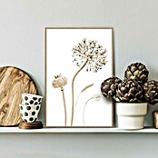 Reinders Bild Slim Frame Wood (Flower Stills, B x H: 20 x 30 cm) | BAUHAUS