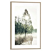 Reinders Bild Slim Frame Wood (Sunny Tree, B x H: 20 x 30 cm) | BAUHAUS