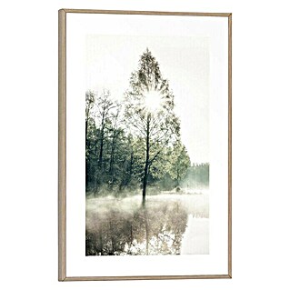 Reinders Bild Slim Frame Wood (Sunny Tree, B x H: 20 x 30 cm)