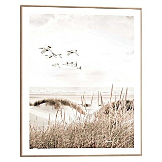 Bild Slim Frame (Botanical Beach, B x H: 40 x 50 cm)
