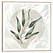 Reinders Bild Slim Frame Wood (Illustrated Leafs, B x H: 50 x 50 cm) | BAUHAUS