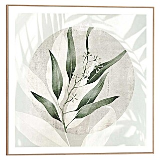 Reinders Bild Slim Frame Wood (Illustrated Leafs, B x H: 50 x 50 cm)