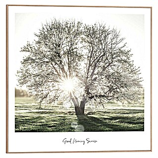 Reinders Bild Slim Frame Wood (Sunbeam Tree, B x H: 50 x 50 cm)