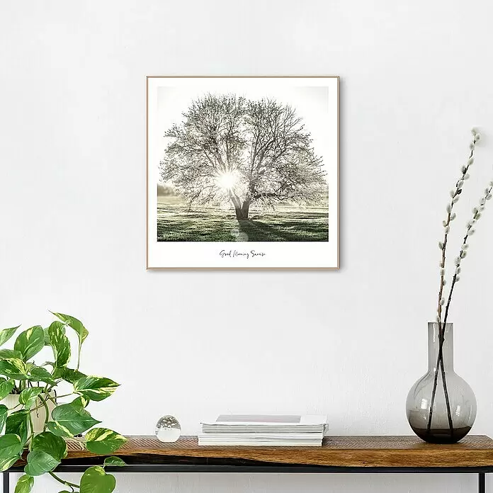 Reinders Bild Slim Frame Wood - Sunbeam Tree, B x H: 50 x 50 cm - Gerahmter Kunstdruck mit hellem Holzrahmen, der einen Baum im Sonnenaufgang zeigt. Hängt über einem Regal mit Deko.