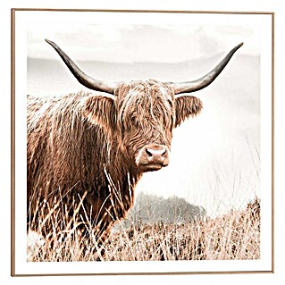 Reinders Bild Slim Frame Wood (Nature Cow, B x H: 50 x 50 cm)