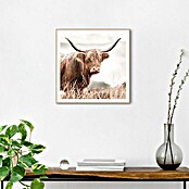 Reinders Bild Slim Frame Wood (Nature Cow, B x H: 50 x 50 cm) | BAUHAUS