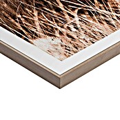 Reinders Bild Slim Frame Wood (Nature Cow, B x H: 50 x 50 cm) | BAUHAUS