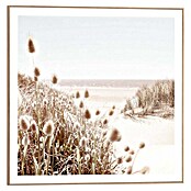 Reinders Bild Slim Frame Wood (Dune Beach, B x H: 50 x 50 cm) | BAUHAUS