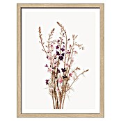 ProArt Slika Slim Scandic  (Dried Fiber Pink Flower, Š x V: 33 x 43 cm) | 6767 - Gerahmte Bilder | HFDC - Fertigbilder | HFD - Galerie | HF - Galerie | H - Innendeko/Farben | BAUHAUS