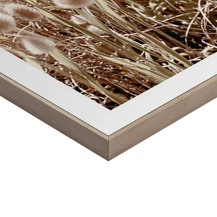Reinders Bild Slim Frame Wood - Dune Beach, B x H: 50 x 50 cm - Nahaufnahme eines gerahmten Kunstwerks, das ein Feld mit trockenem Gras und weißen, flaumigen Pflanzen zeigt, eingefasst von einer hellen Holzleiste.