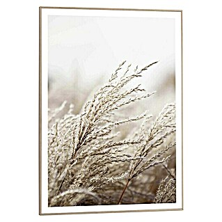 Canvasschilderij Slim Frame (Field Grass, b x h: 50 x 70 cm)