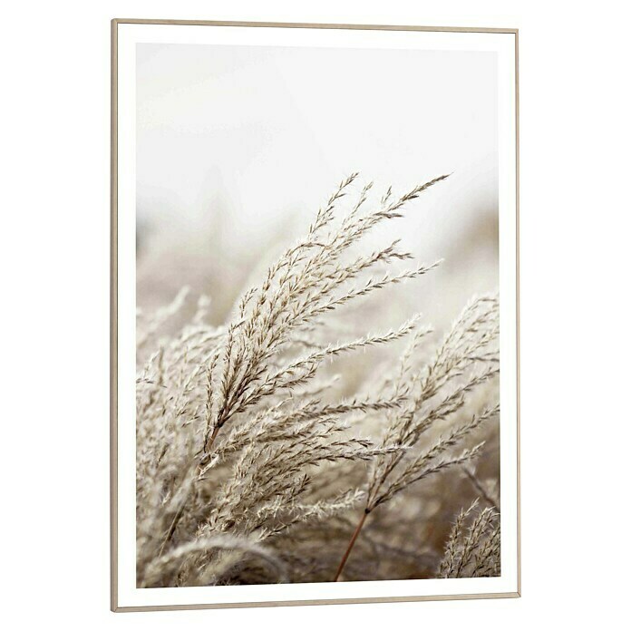 Bild Slim FrameField Grass, B x H: 50 x 70 cm Front View