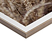 Reinders Bild Slim Frame Wood (Field Grass, B x H: 50 x 70 cm) | BAUHAUS