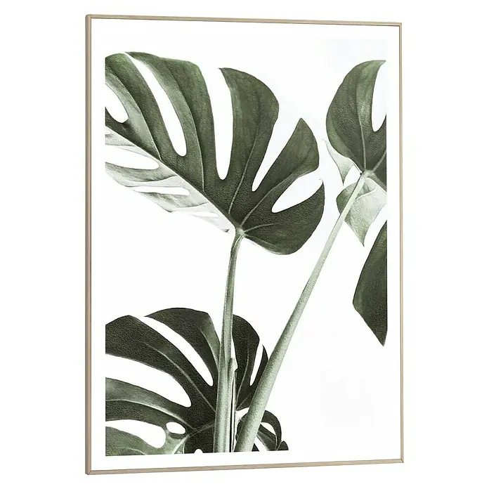 Reinders Bild Slim Frame Wood - Macro Monstera, B x H: 50 x 70 cm - Gerahmtes Monstera-Blatt-Wandbild in einem schlichten Rahmen, das die natürliche Schönheit der tropischen Pflanze hervorhebt.