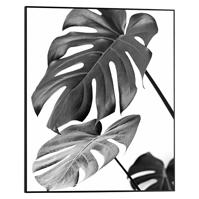 Reinders Bild Slim Frame Black (Monstera Black, B x H: 40 x 50 cm) | BAUHAUS