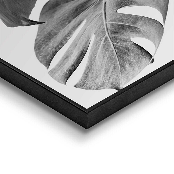 Reinders Bild Slim Frame Black (Monstera Black, B x H: 40 x 50 cm) | BAUHAUS