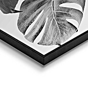 Reinders Bild Slim Frame Black (Monstera Black, B x H: 40 x 50 cm) | BAUHAUS